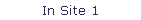 In Site 1