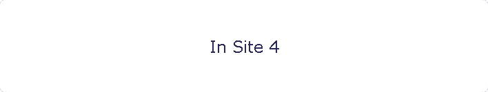 In Site 4