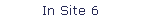 In Site 6