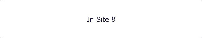In Site 8