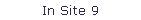 In Site 9