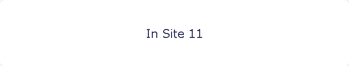 In Site 11