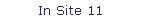 In Site 11