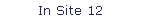 In Site 12
