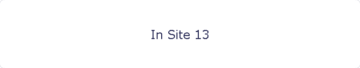 In Site 13