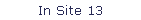 In Site 13
