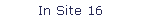 In Site 16