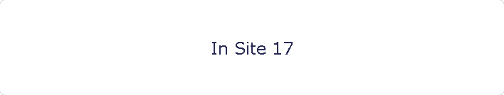 In Site 17