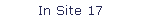 In Site 17