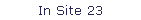 In Site 23